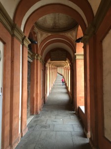 IMG_3220